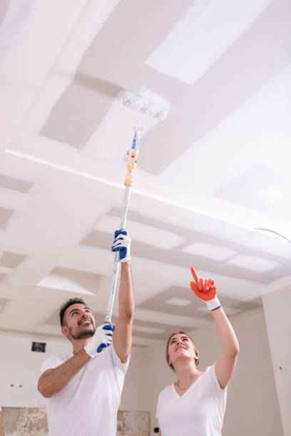 Best Mold Damage Restoration  in Century, FL