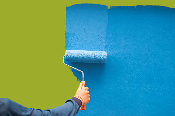 Best Mold-Related Health Consultation  in Century, FL